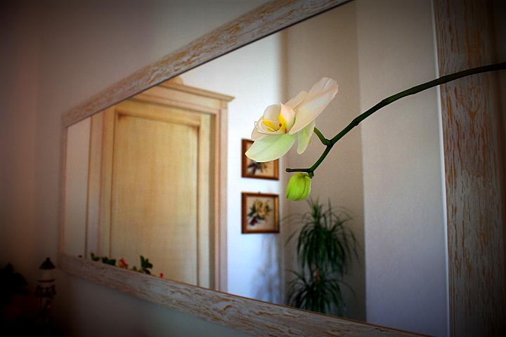 Il Melograno Di Nora Bed & Breakfast Pula Exterior photo